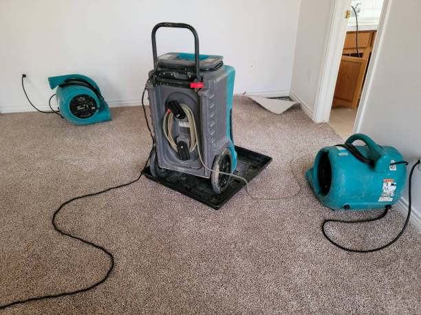 Best Sewage cleanup and water damage restoration  in Corinth, MS