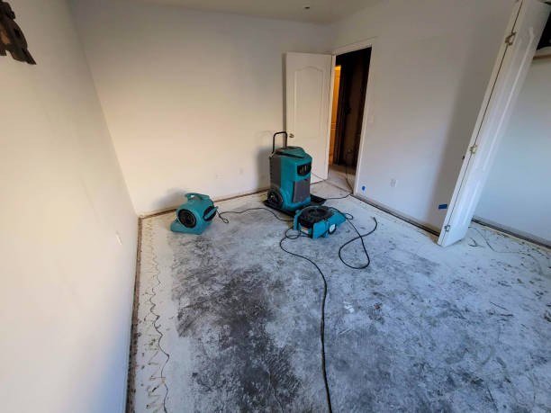 Best Basement water damage restoration  in Corinth, MS