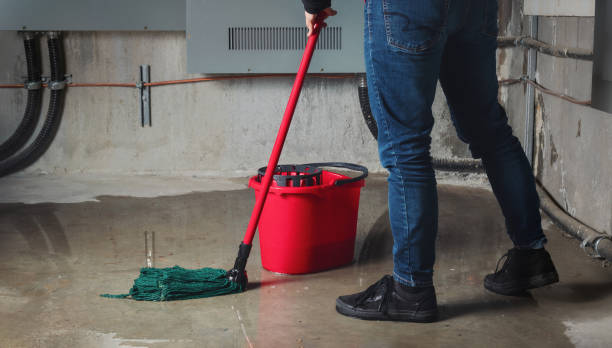 Best Water damage cleanup near me  in Corinth, MS
