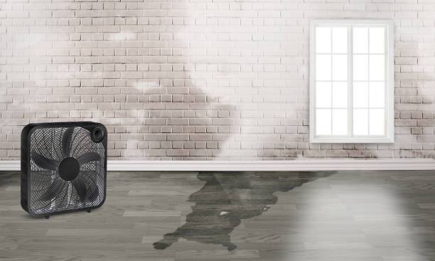 Best Emergency water damage restoration  in Corinth, MS