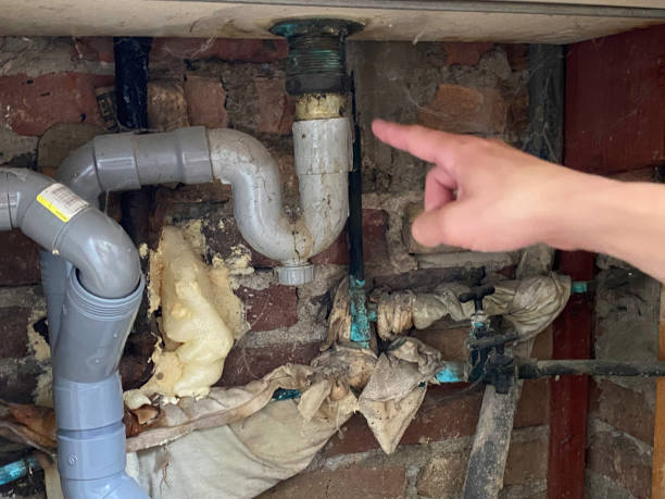 Best Professional water damage repair  in Corinth, MS